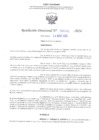 Vista preliminar de documento RD N° 481 