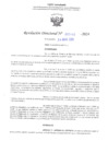 Vista preliminar de documento RD N° 484