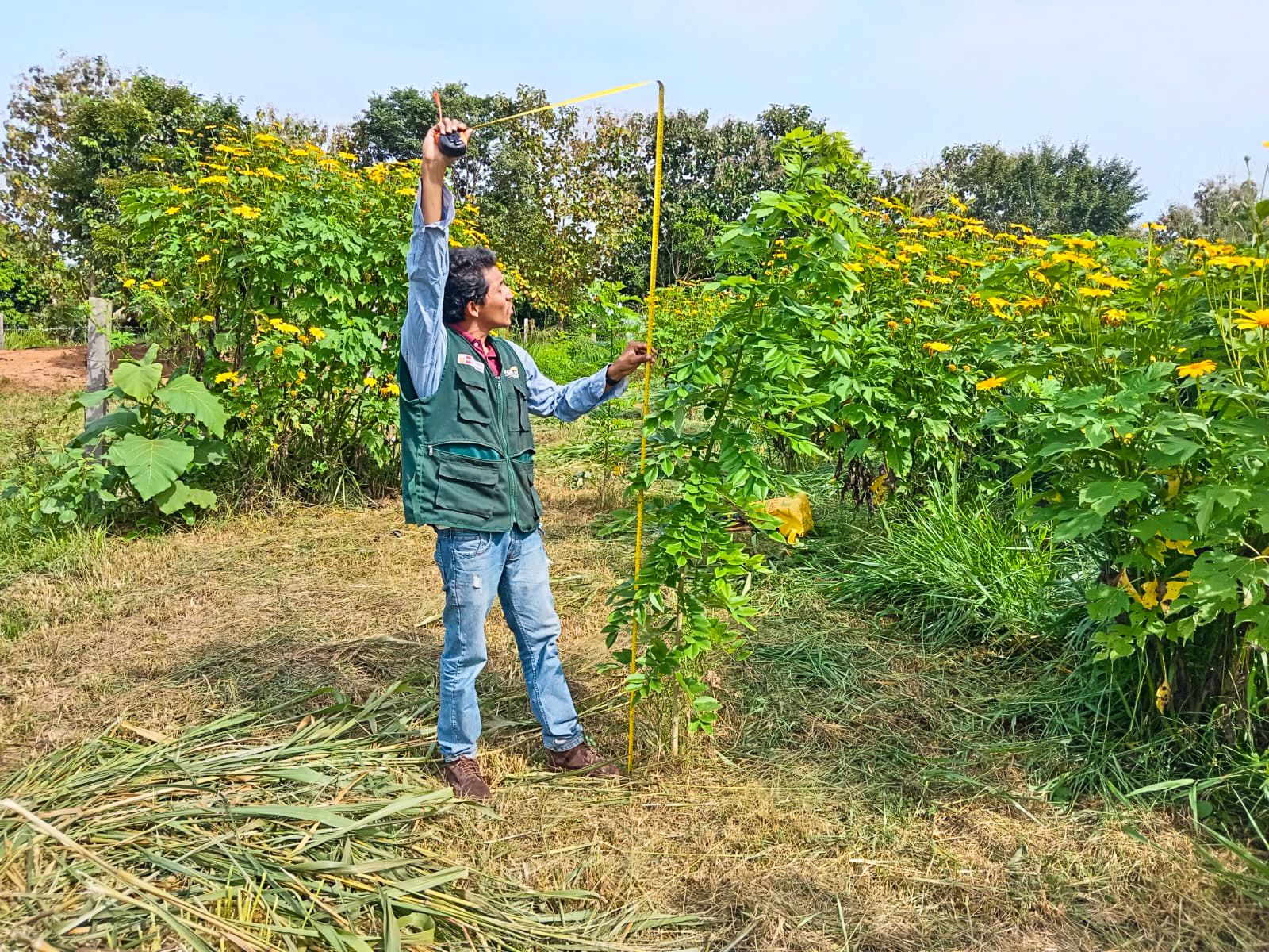 AGRO RURAL