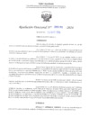Vista preliminar de documento RD N° 487