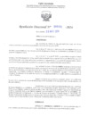 Vista preliminar de documento RD N° 491