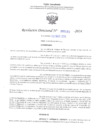 Vista preliminar de documento RD N° 492