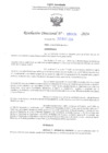 Vista preliminar de documento RD N° 494