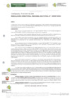 Vista preliminar de documento R.D.R.S N° 07