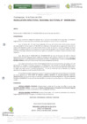 Vista preliminar de documento R.D.R.S N° 08