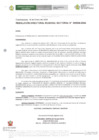 Vista preliminar de documento R.D.R.S N° 09