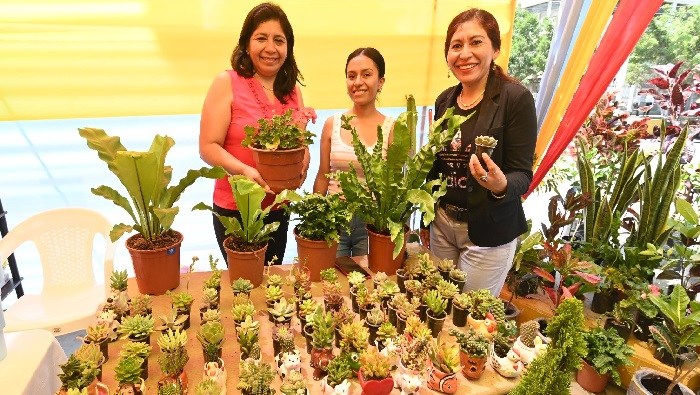 Piura Emprende en Unidad