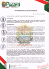 Vista preliminar de documento ORDENANZA MUNICIPAL N° 006-2024-MDP/CM