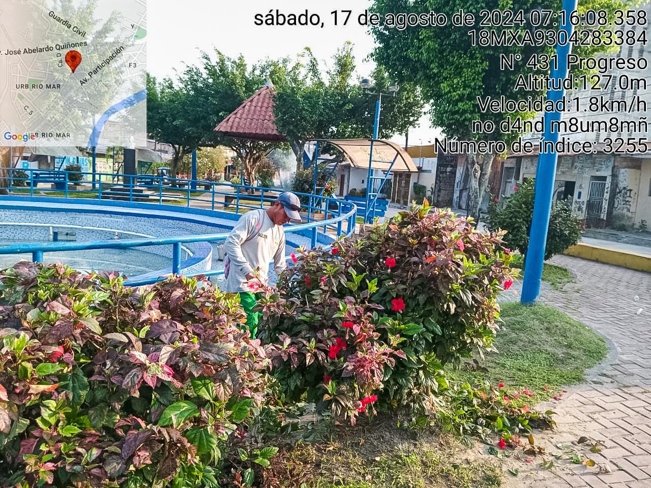Sub Gerencia de Gestión Ambiental realizó el embellecimiento de la Plaza Cardama