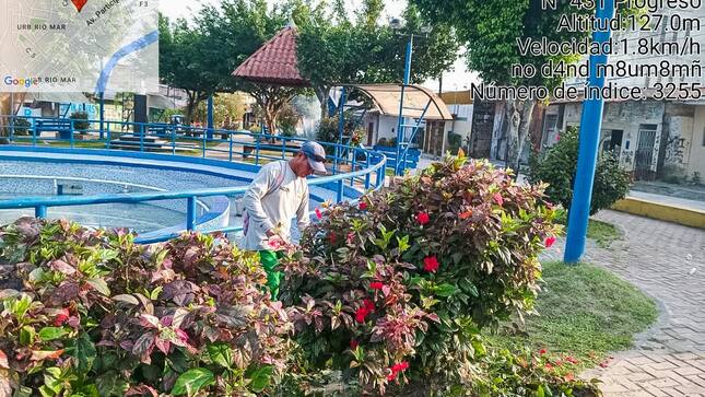 Sub Gerencia de Gestión Ambiental realizó el embellecimiento de la Plaza Cardama
