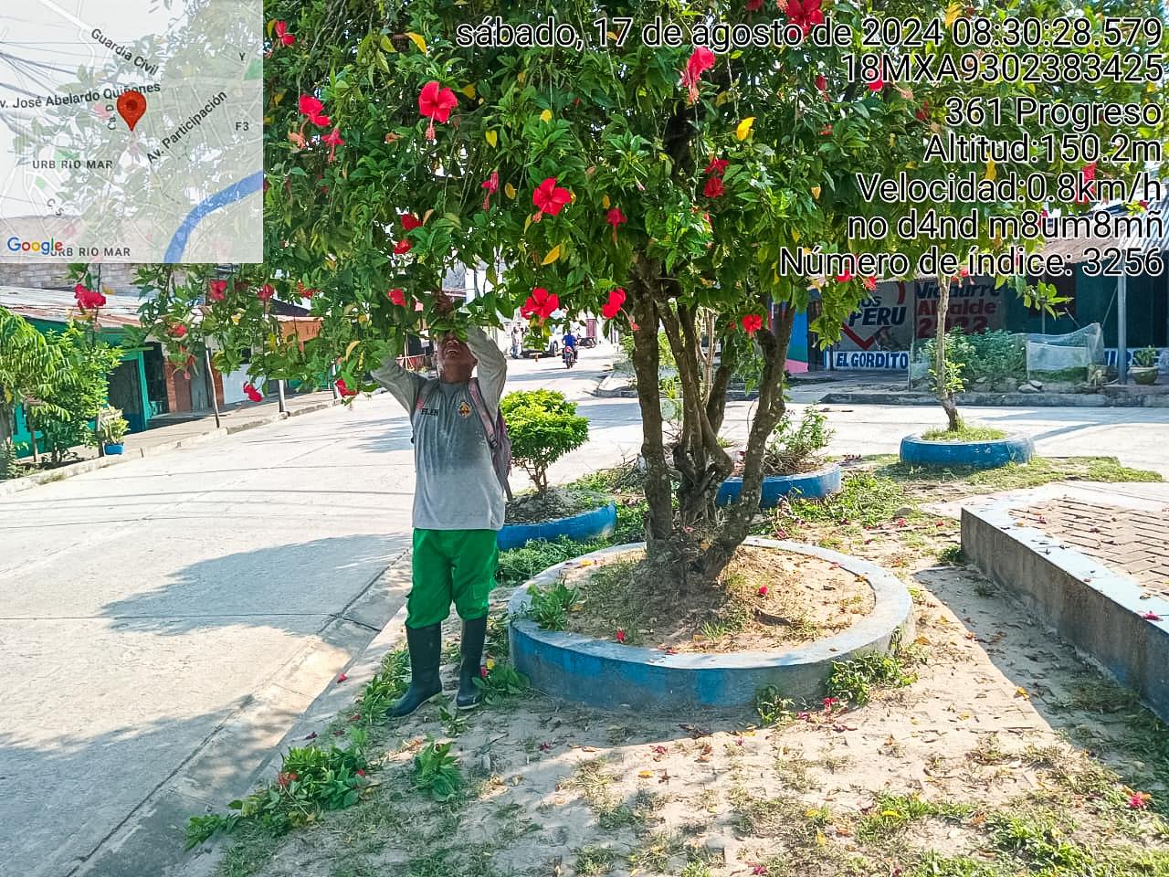 Sub Gerencia de Gestión Ambiental realizó el embellecimiento de la Plaza Cardama