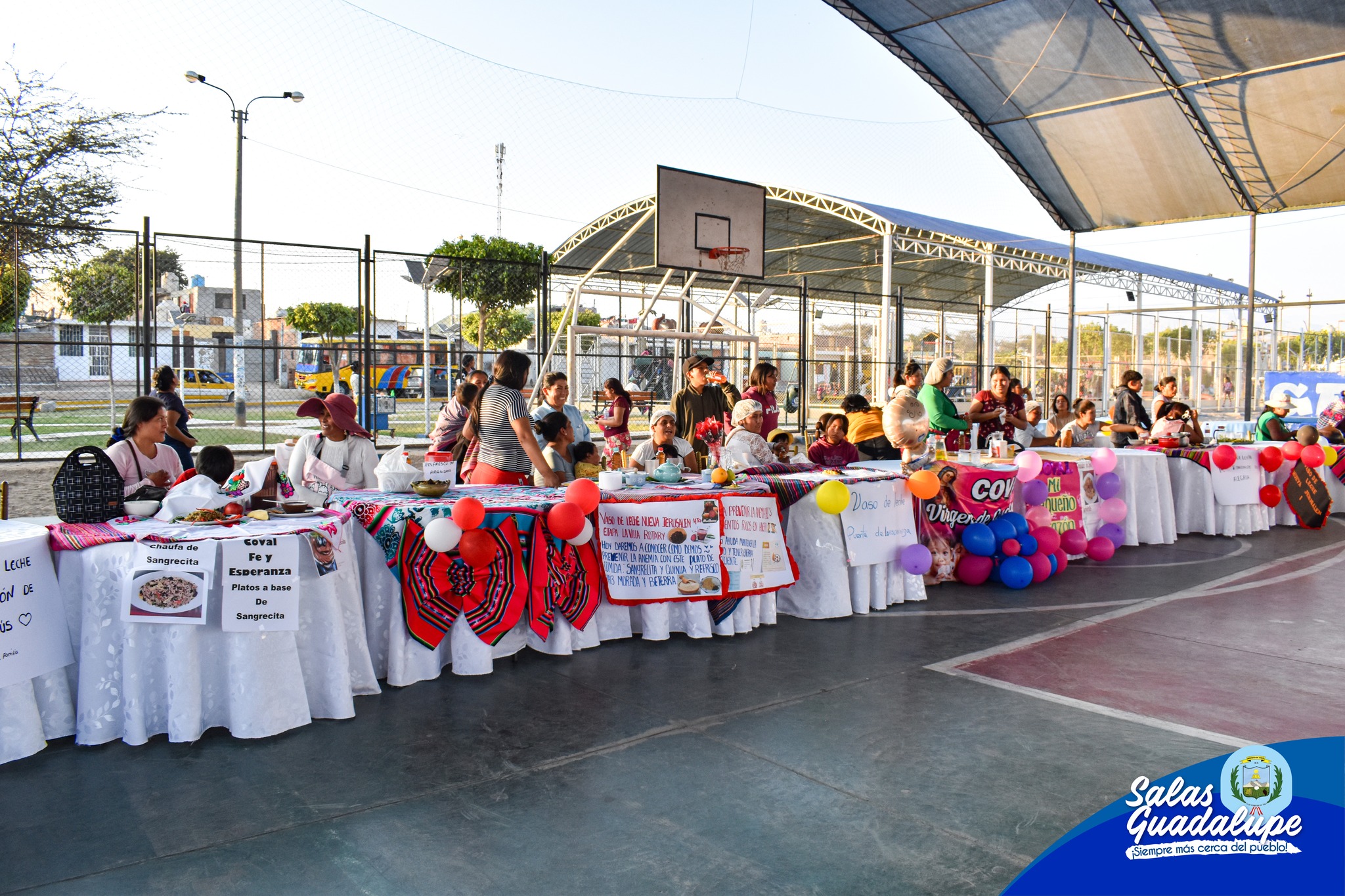 LUCHA CONTRA LA ANEMIA