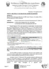 Vista preliminar de documento OFICIO MÚLTIPLE Nº 132_2024-Comunica conformación de Comisión de Racionalización de I.E. (CORA I.E). hasta el 24 de agosto del presente año.