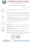 Vista preliminar de documento RESOLUCION DE ALCALDIA 124-2020-MPA-A