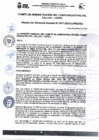 Vista preliminar de documento RGG N° 0077-2023-CAFED-GG