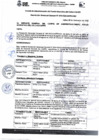 Vista preliminar de documento RGG N° 0079-2023-CAFED-GG