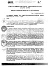 Vista preliminar de documento RGG N° 0074-2023-CAFED-GG
