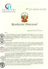 Vista preliminar de documento RD N° 183-06-2018-HCLLH-SA
