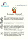 Vista preliminar de documento RD N° 187-06-2018-HCLLH-SA
