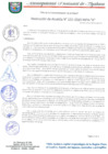 Vista preliminar de documento RESOLUCION DE ALCALDIA 132-2020-MPA-A