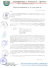 Vista preliminar de documento RESOLUCION DE ALCALDIA 141-2020-MPA-A