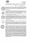 Vista preliminar de documento RGGR462