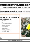 Vista preliminar de documento 187 - IRIS DIOGELINA PEÑA JAVE