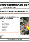 Vista preliminar de documento 188 - LIZET MAELIT CANTA VASQUEZ
