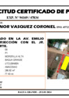 Vista preliminar de documento 166 - LEONOR VASQUEZ CORONEL