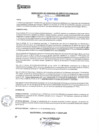 Vista preliminar de documento RGSP23506