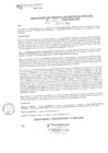 Vista preliminar de documento RGSP23519