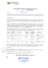 Vista preliminar de documento RGSP23534