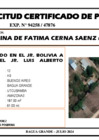 Vista preliminar de documento 167 - KARINA DE FATIMA CERNA SAENZ