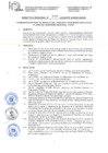 Vista preliminar de documento directiva_007_gr