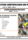 Vista preliminar de documento 172 - ELMER HUAMAN DELGADO