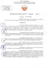 Vista preliminar de documento RD N 0699