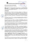 Vista preliminar de documento RA_236_2024