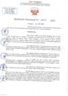 Vista preliminar de documento RD N 0701
