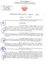 Vista preliminar de documento RD N 0704