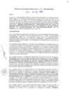 Vista preliminar de documento RGM0742023MPA