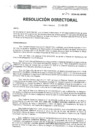 Vista preliminar de documento RD-241-2024-DE-HEVES