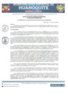 Vista preliminar de documento RGM 42