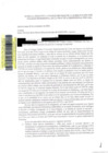 Vista preliminar de documento DI N° 051-2023-CEB