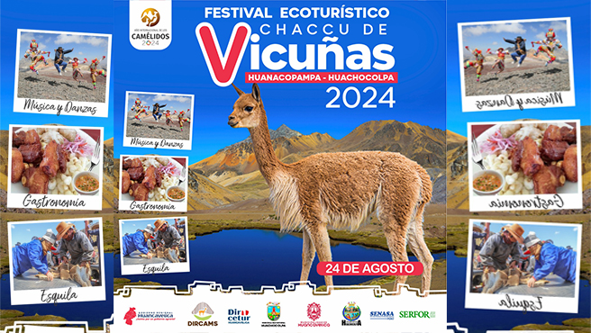 Faltan pocos días para vivir el V Festival Ecoturístico de Chaccu de Vicuñas – Huachocolpa