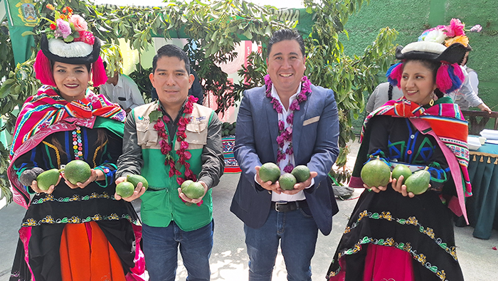 PUNO PALTOS