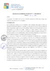 Vista preliminar de documento RGM265