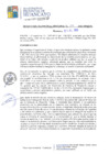 Vista preliminar de documento RGM271