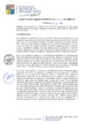 Vista preliminar de documento RGM273