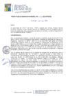 Vista preliminar de documento RGM276