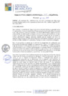 Vista preliminar de documento RGM274